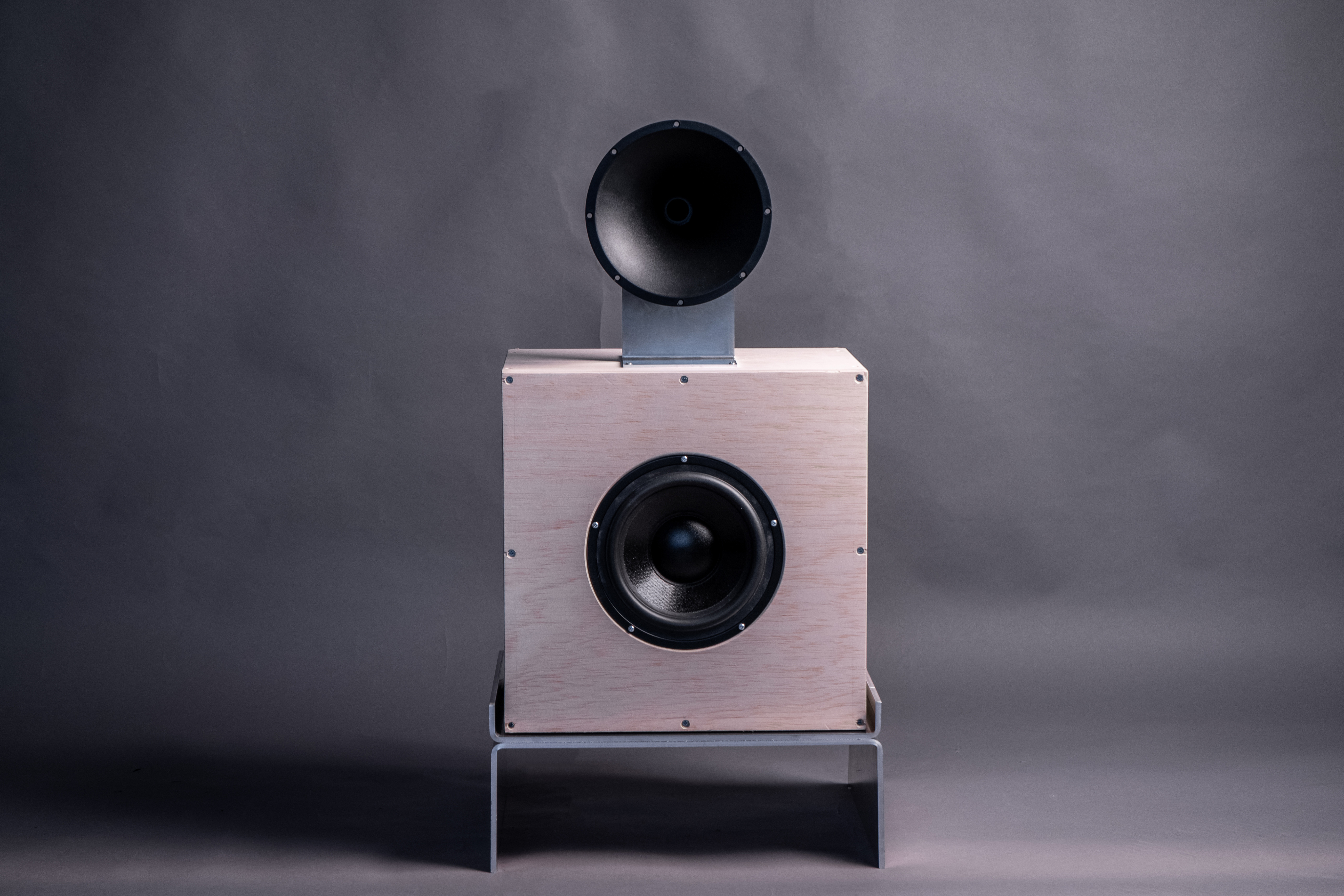 SPEAKER